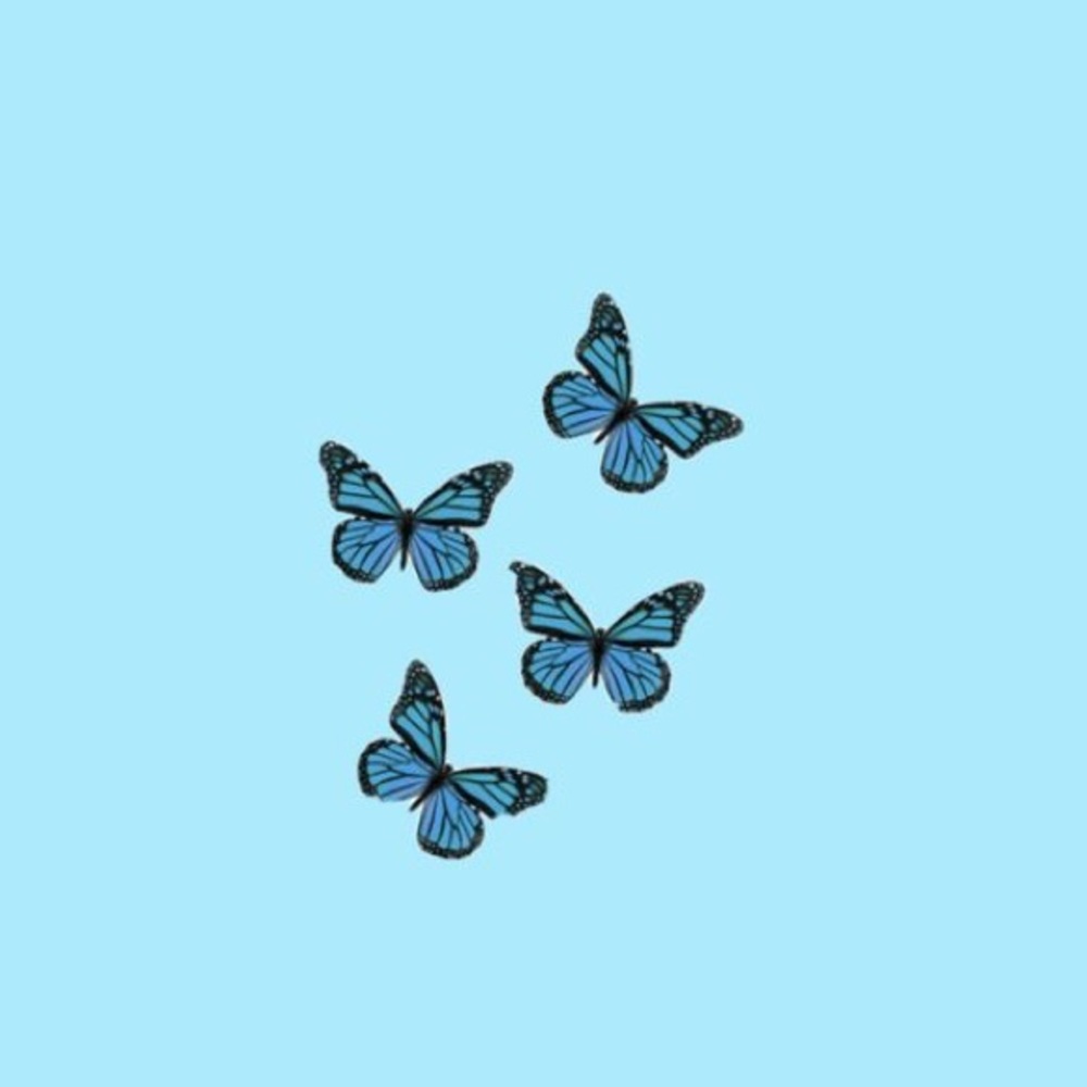 Meet your Posher, Isabella